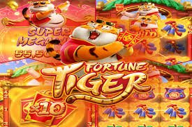 Live Casino mm555